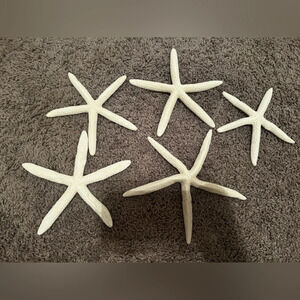 5 Faux White Starfish Decoration